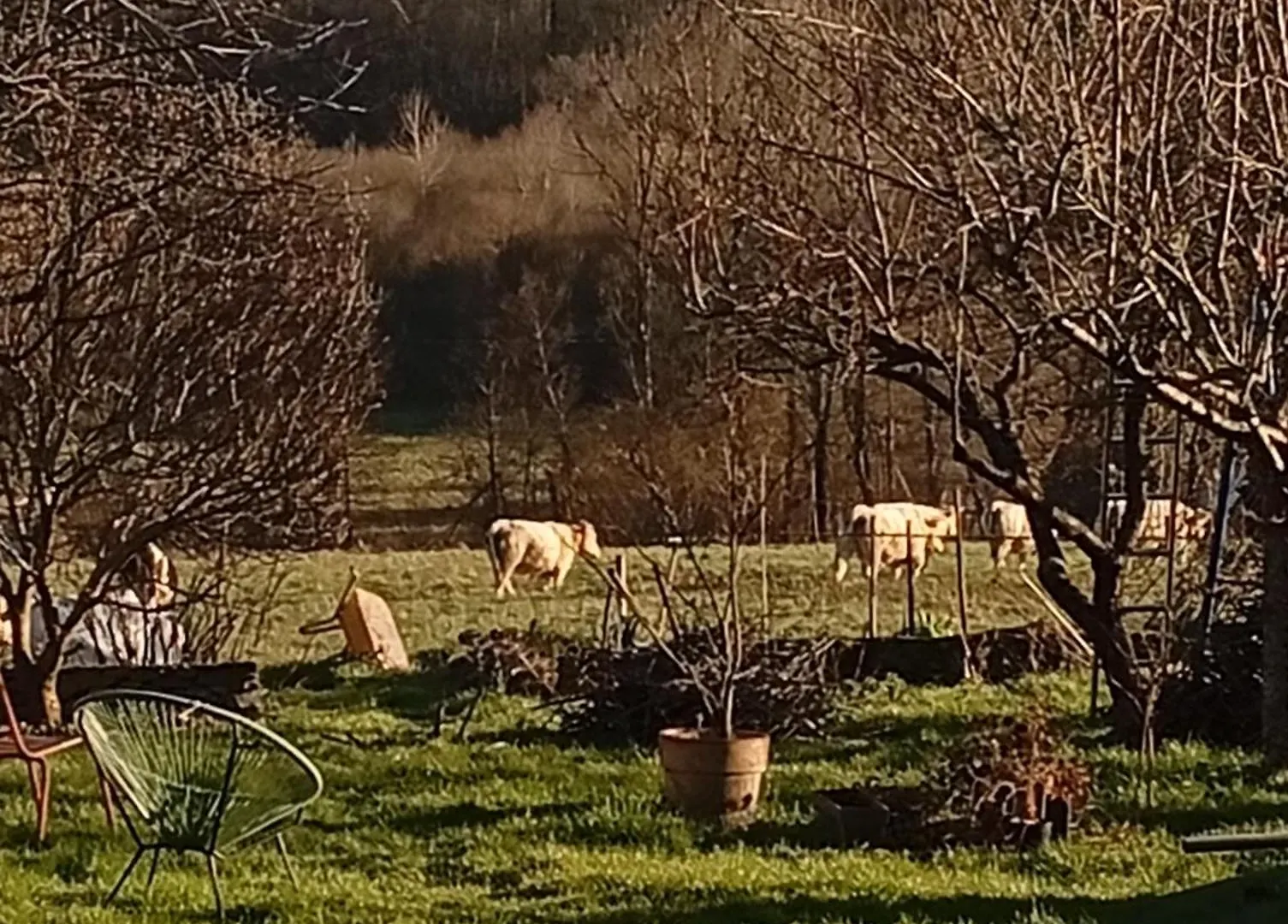 Chez Olive Et Garance Bed and Breakfast Couret